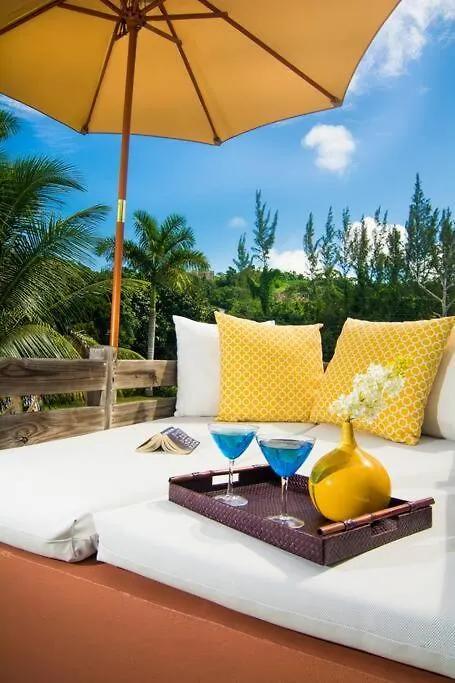 Apartment Villa Fantasy Private Beach And Private Pool Rio Bueno Jamaica